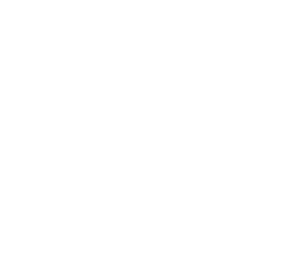 P2 logo