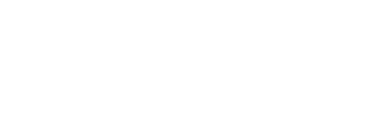 Zilveren Kruis logo white